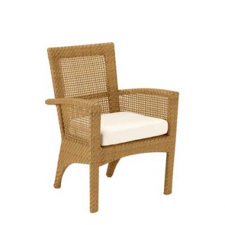 Trinidad Dining Arm Chair with Seat Cushion