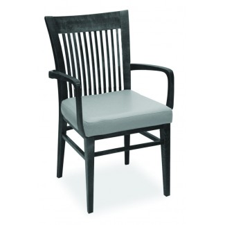 Assisted Living Lyle Dining Arm Chair