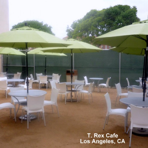 Resin side chairs and patio umbrellas
