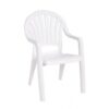 Pacific Fanback Arm Chair - Image 2